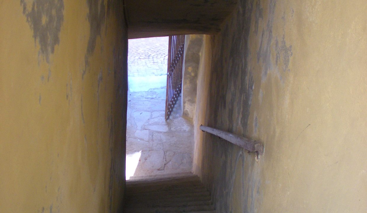 DSCN6699