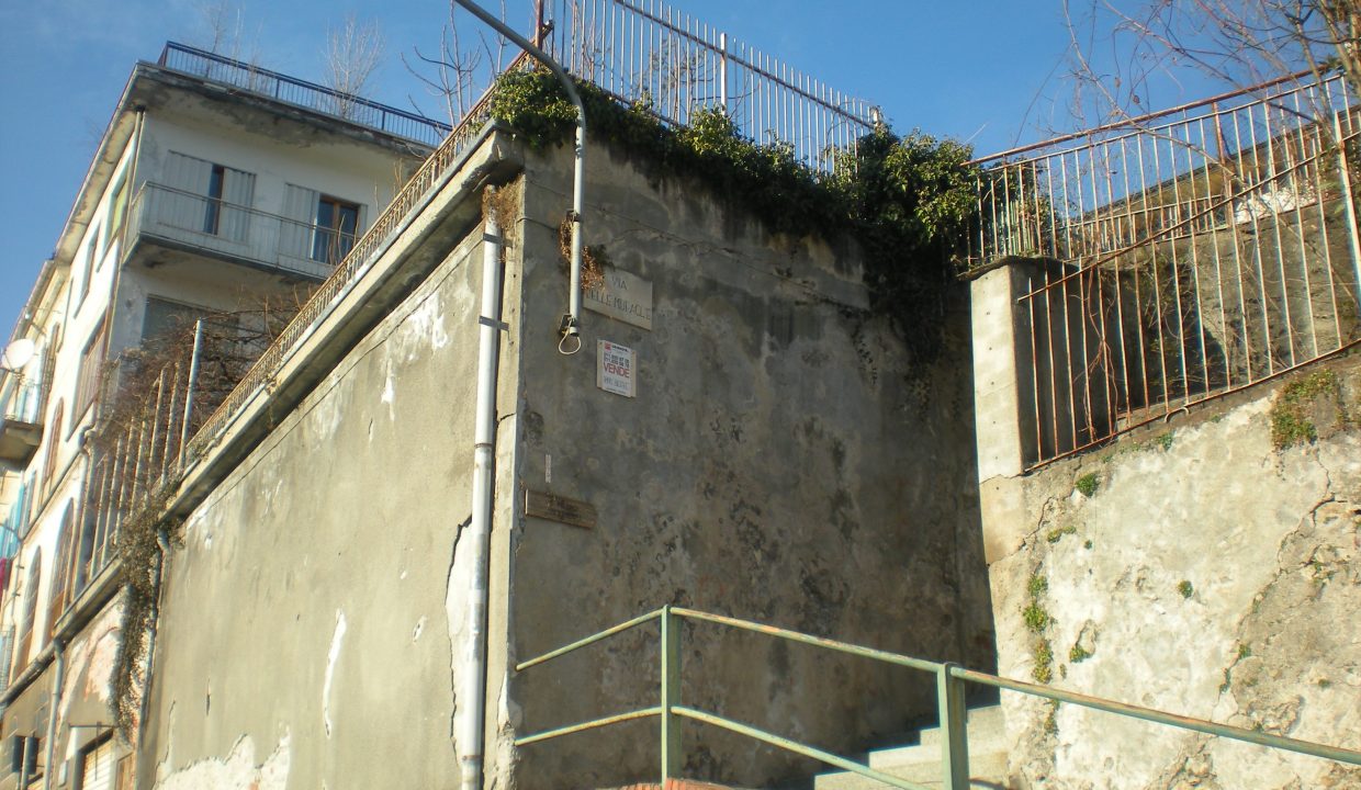 DSCN6709