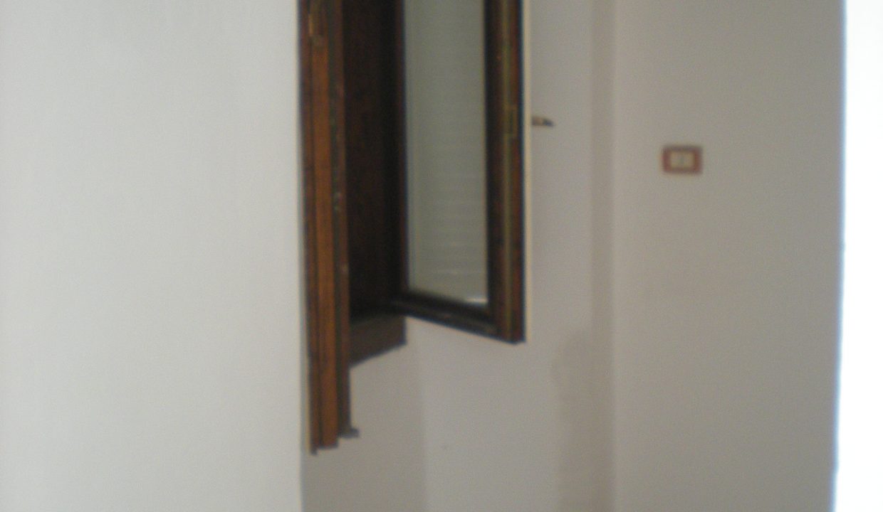 DSCN6729