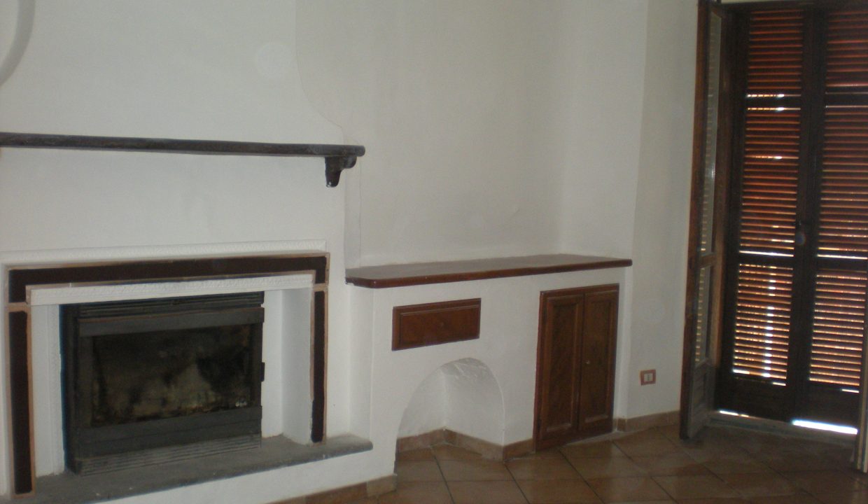 DSCN6738