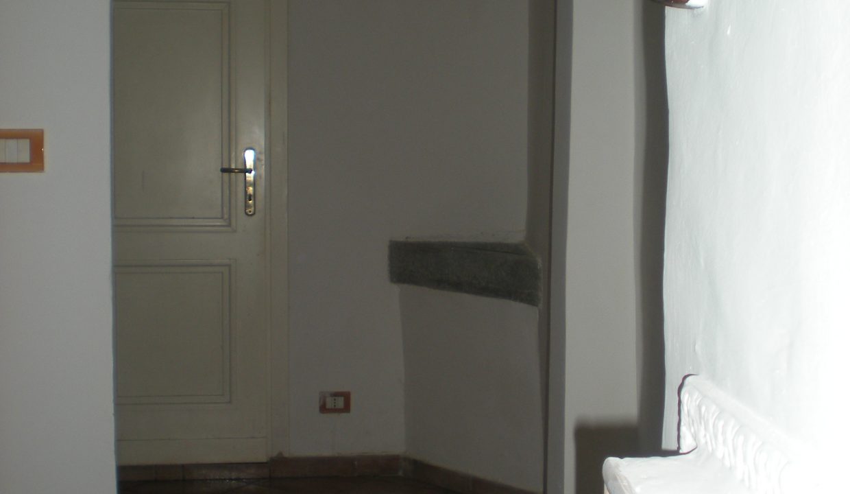DSCN6741