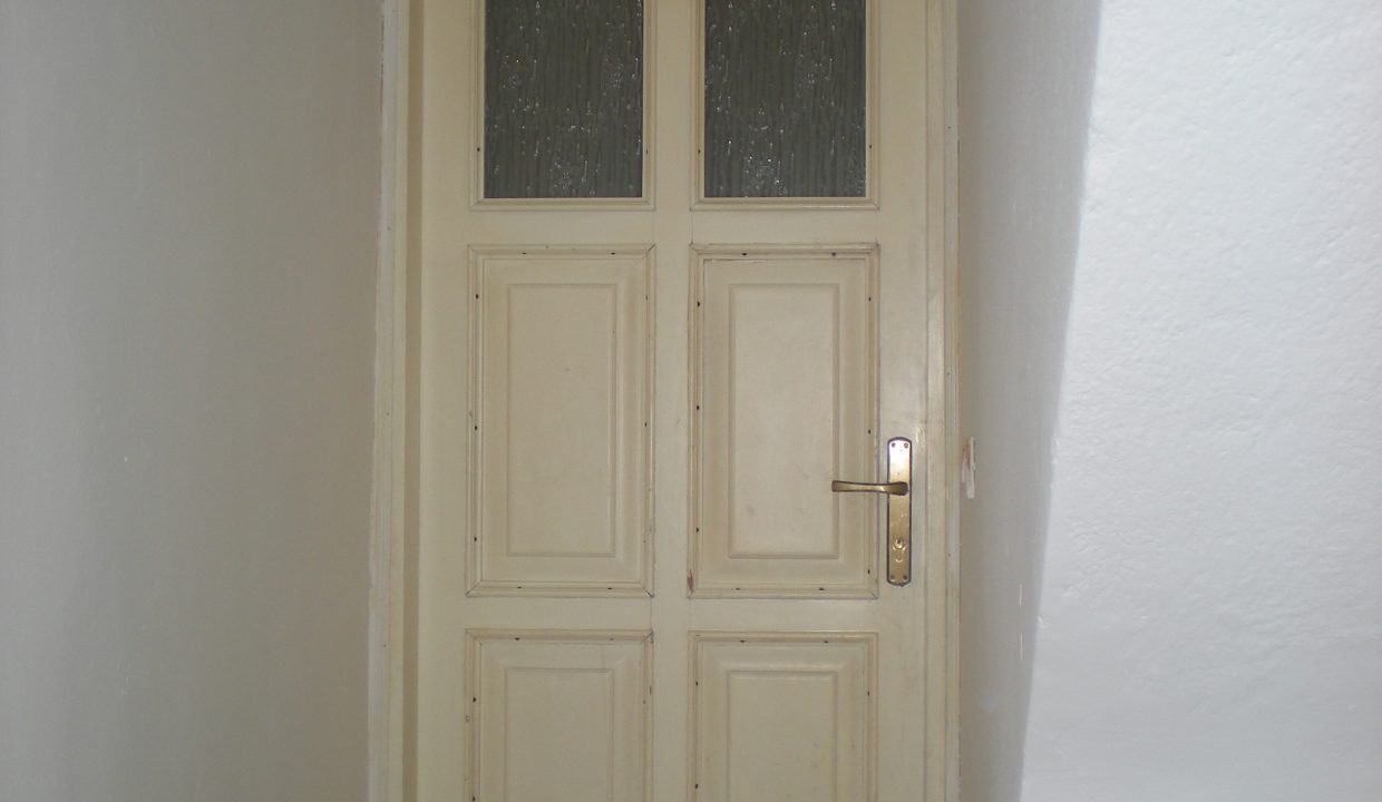 DSCN6745
