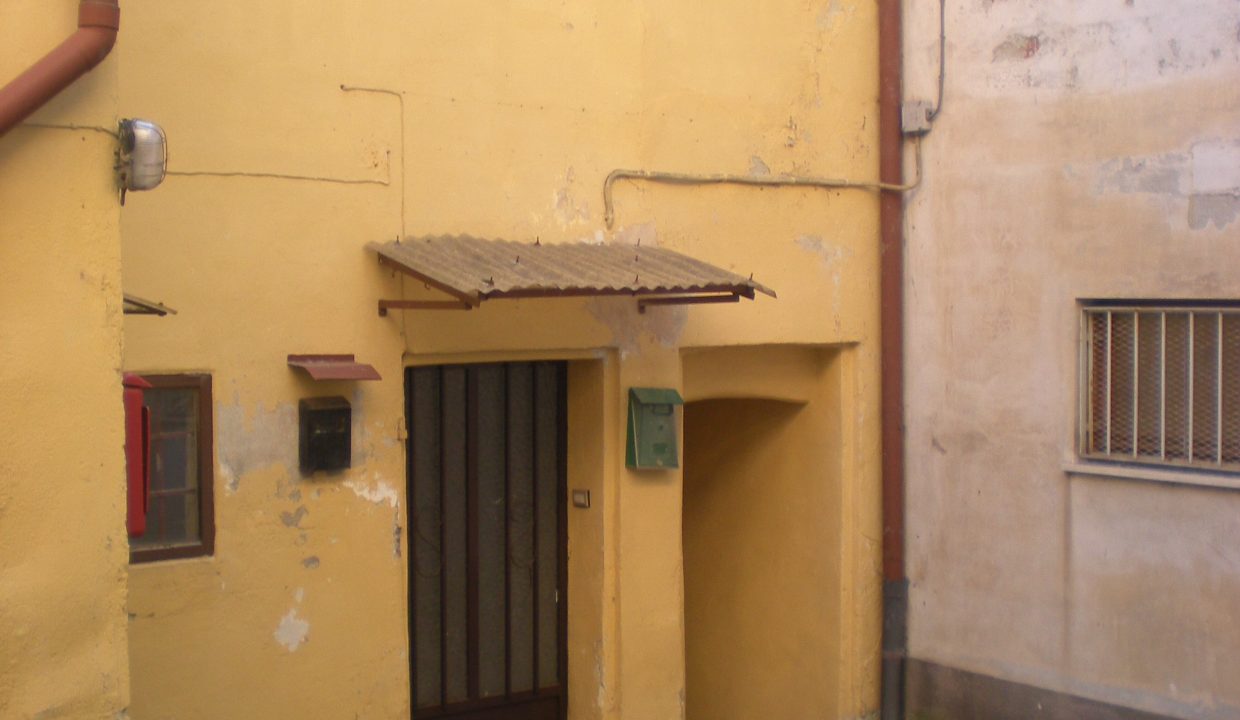 DSCN6749