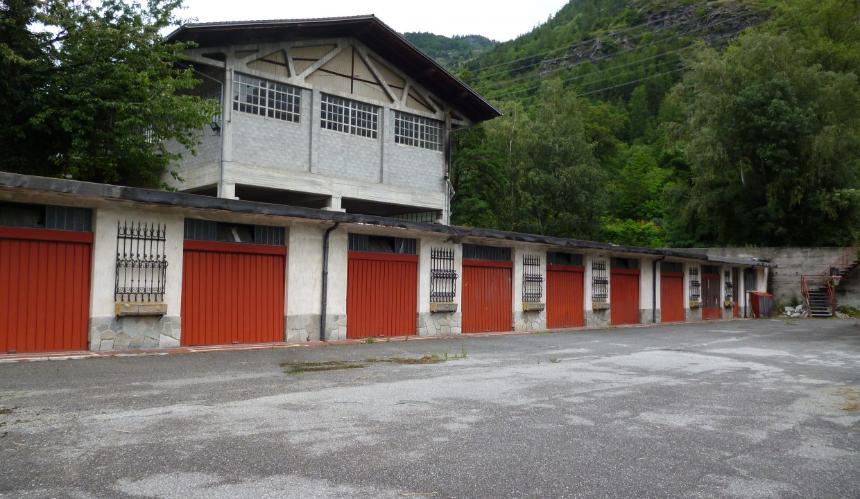 P1030786