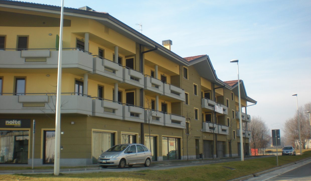 DSCN6531