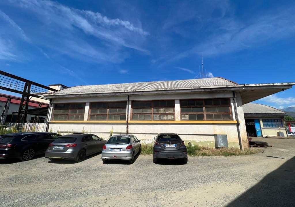 IMG-20220613-WA0018