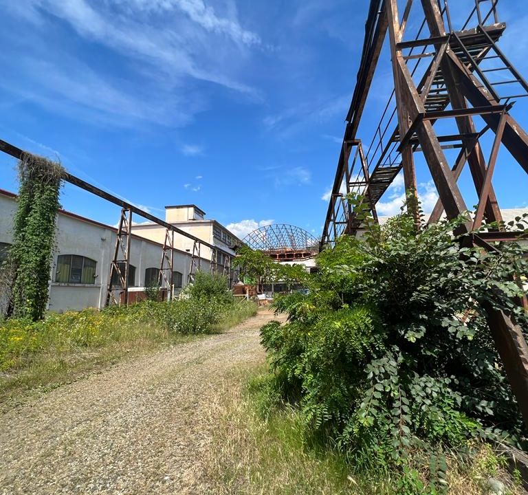 IMG-20220613-WA0024